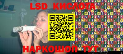 молекула духа Кулебаки