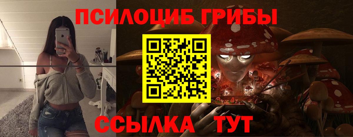наркошоп  Галлюциногенные грибы Psilocybe  Вход с VPN  Кимовск  Галлюциногенные грибы Magic Shrooms 