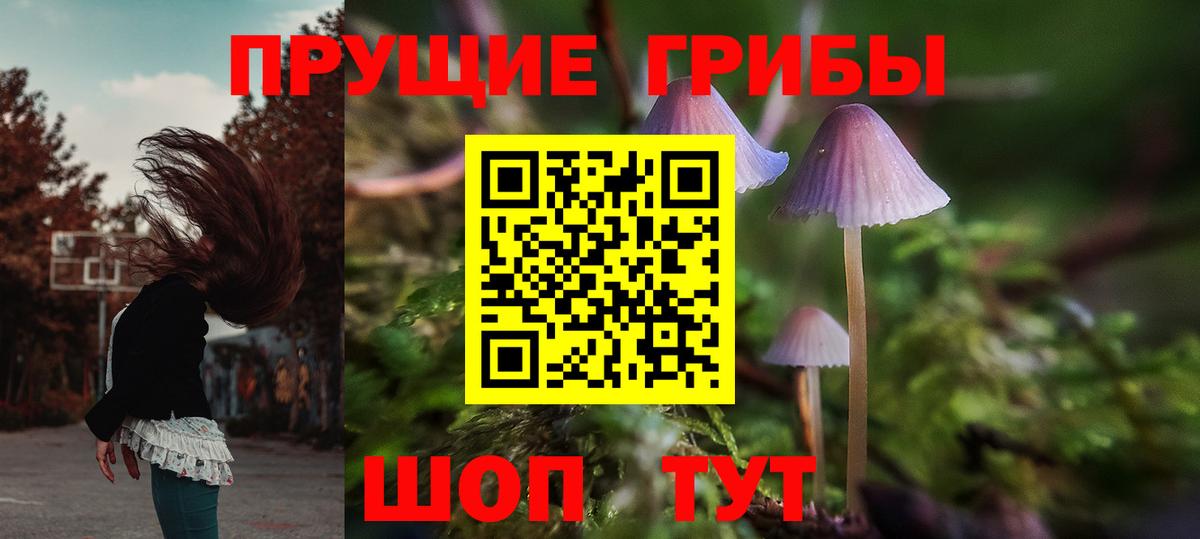 Галлюциногенные грибы MAGIC MUSHROOMS Кимовск